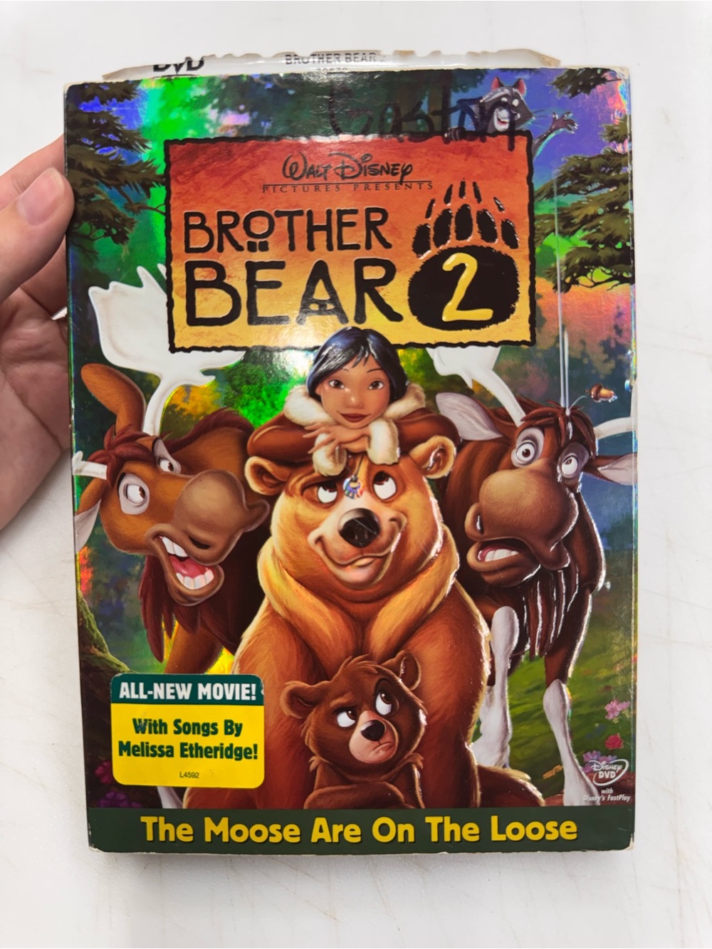 Walt Disney Brother Bear 2 Movie DVD Family Film Animated Tested